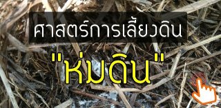 ศาสตร์การเลี้ยงดินด้วยการห่มดินของพระราชา